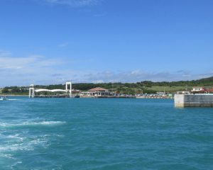 石垣島から船で小浜島へ