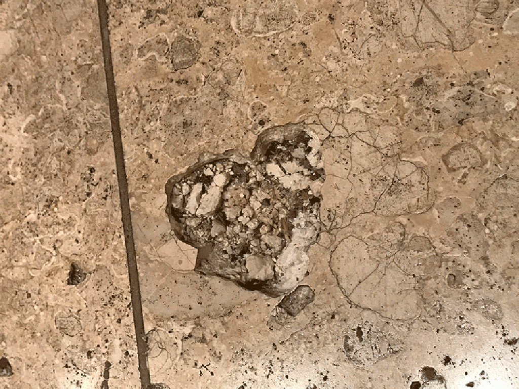琉球石灰岩の穴