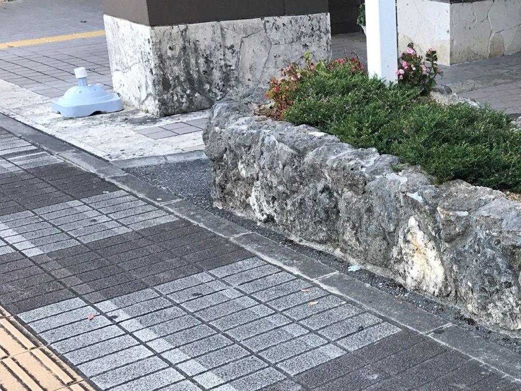 琉球石灰岩Before（ビフォー）