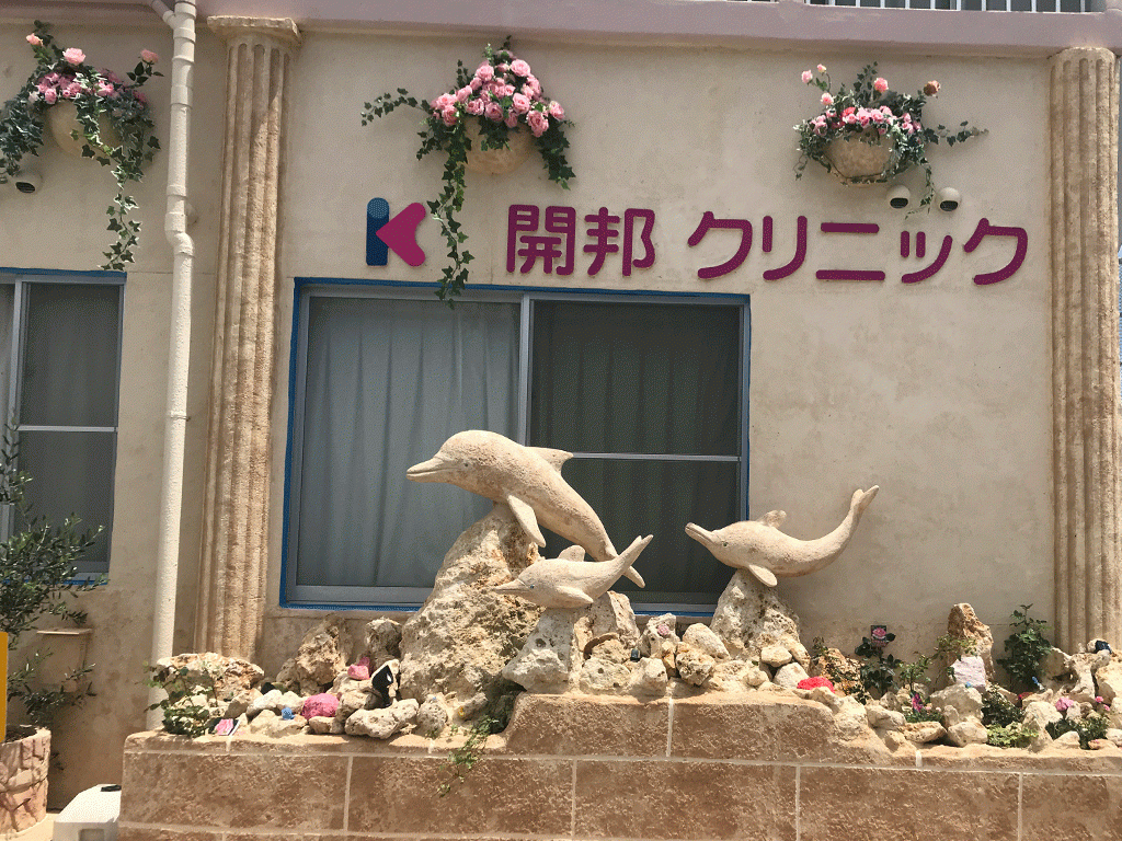 琉球石灰岩イルカの造形