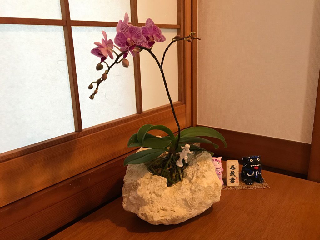 琉球石灰岩アレンジメント　胡蝶蘭がアロマの香り　作品番号GF‐003